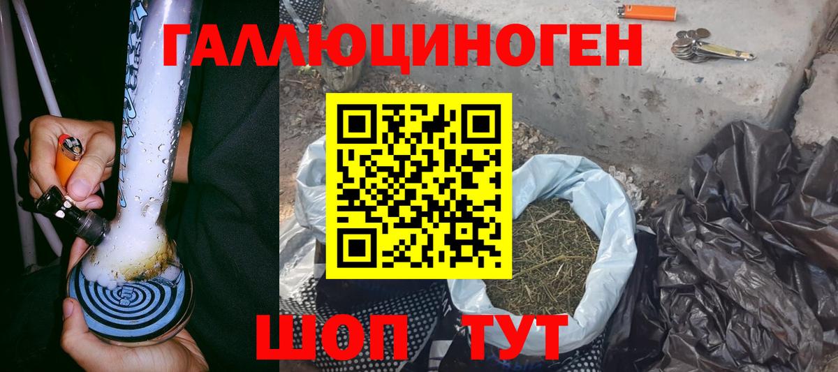 Борзя  Псилоцибиновые грибы Cubensis  Вход с VPN 