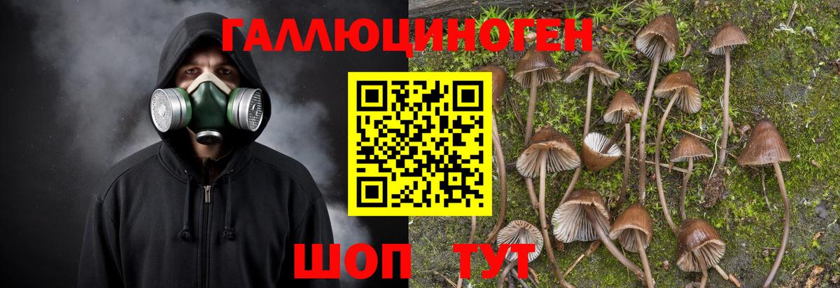 Псилоцибиновые грибы GOLDEN TEACHER Борзя
